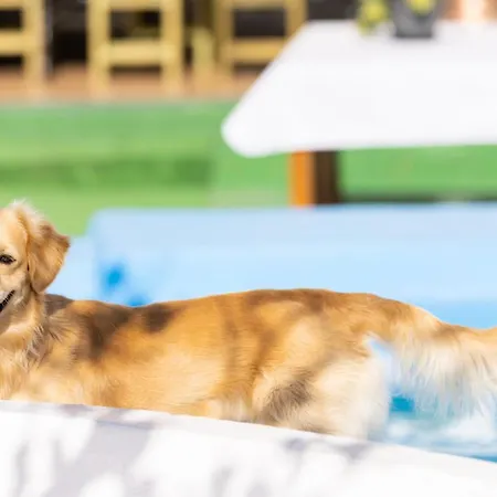 Mountain, Seaviews, And Pool Relax By Sunkeyrents Villa Fasnia Exterior photo