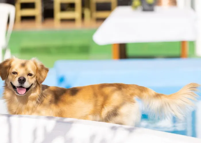 Mountain, Seaviews, And Pool Relax By Sunkeyrents